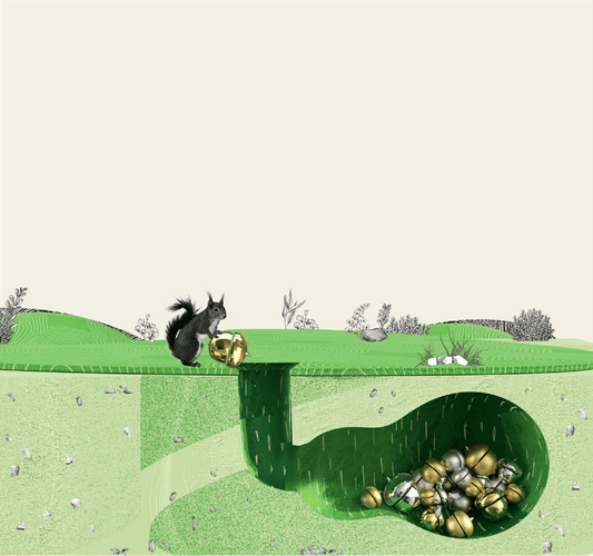 Acorns Later